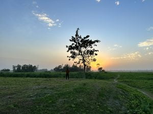 প্রথম আলো চর