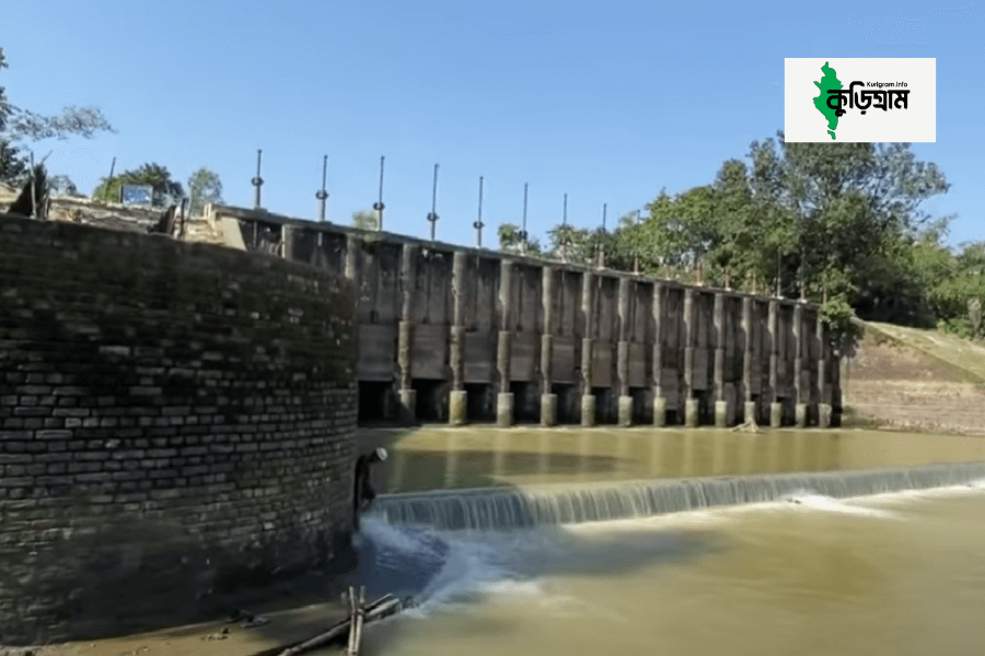 মোগলবাসা ভাটলার সুইচগেট